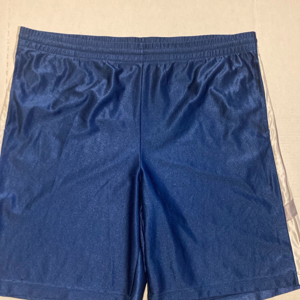 Tek Gear Men's Blue Athletic Shorts Pant Size XL